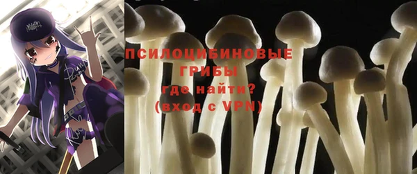 PSILOCYBIN Бронницы