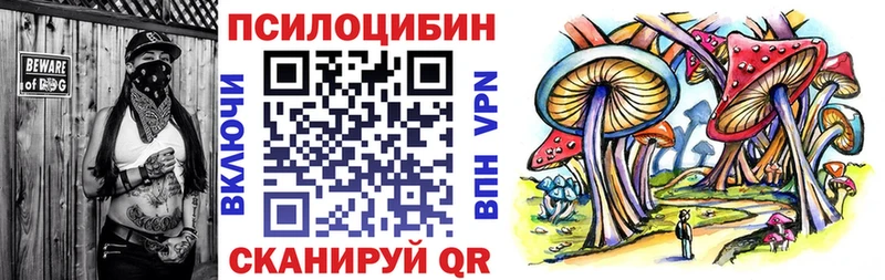 где купить наркоту  Северобайкальск  darknet Telegram  Галлюциногенные грибы Magic Shrooms 